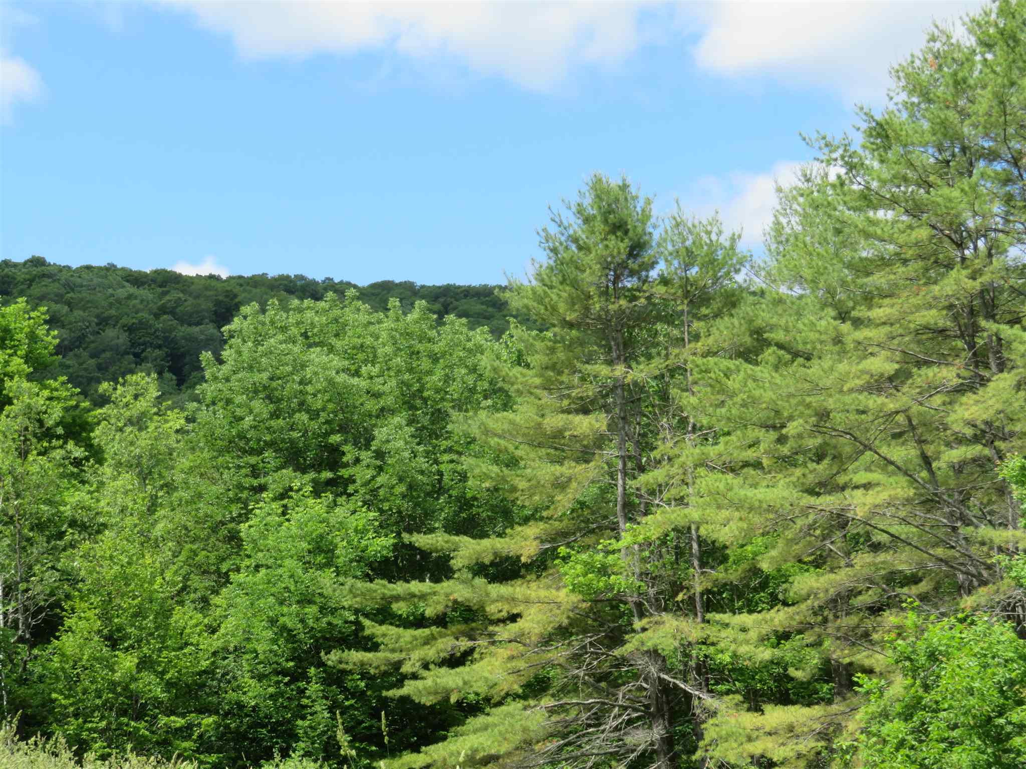 1787 Howe Hill Road Woodstock, VT 05091 - Photo 9 of 11