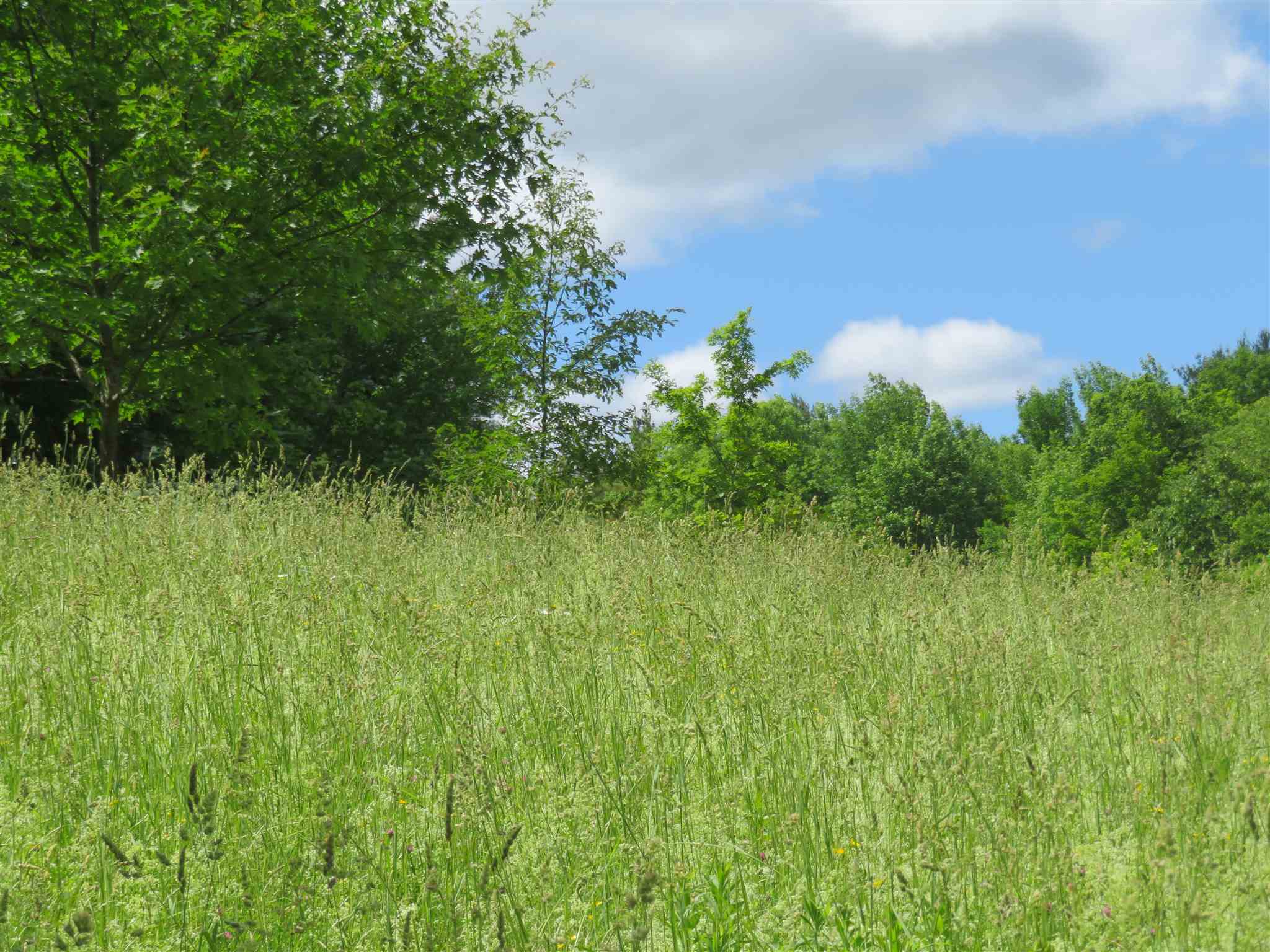 1787 Howe Hill Road Woodstock, VT 05091 - Photo 10 of 11