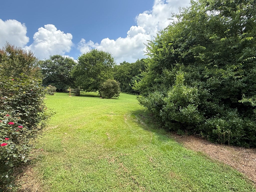 709 Berry Hill Road South Boston, VA 24592 - Photo 6 of 29 Gallery Image 6