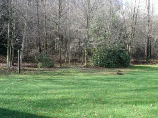 111 Bottom Road Mill Run, PA 15464 - Photo 3 of 6 Yard/Garden.