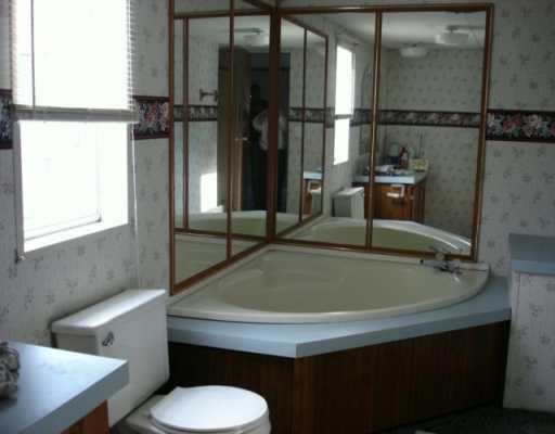 111 Bottom Road Mill Run, PA 15464 - Photo 4 of 6 Master Bath/Spa.