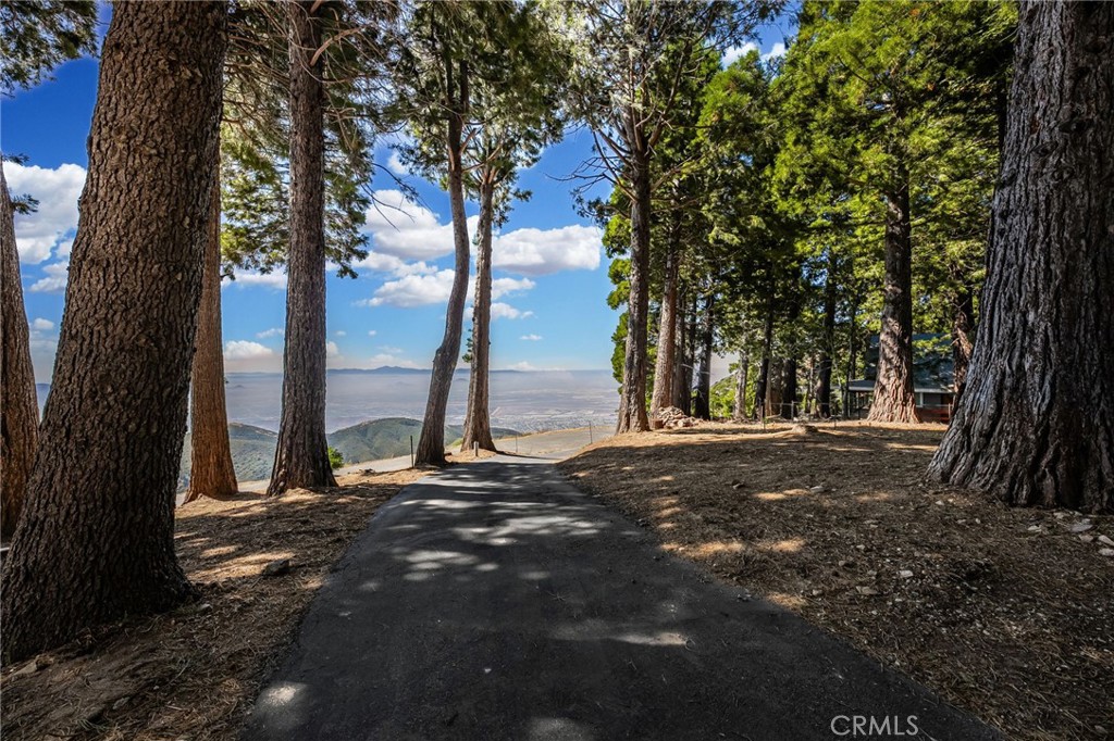 23008 Valley View Drive Crestline, CA 92325 - Photo 4 of 19 a view of a tree in the middle of a yard