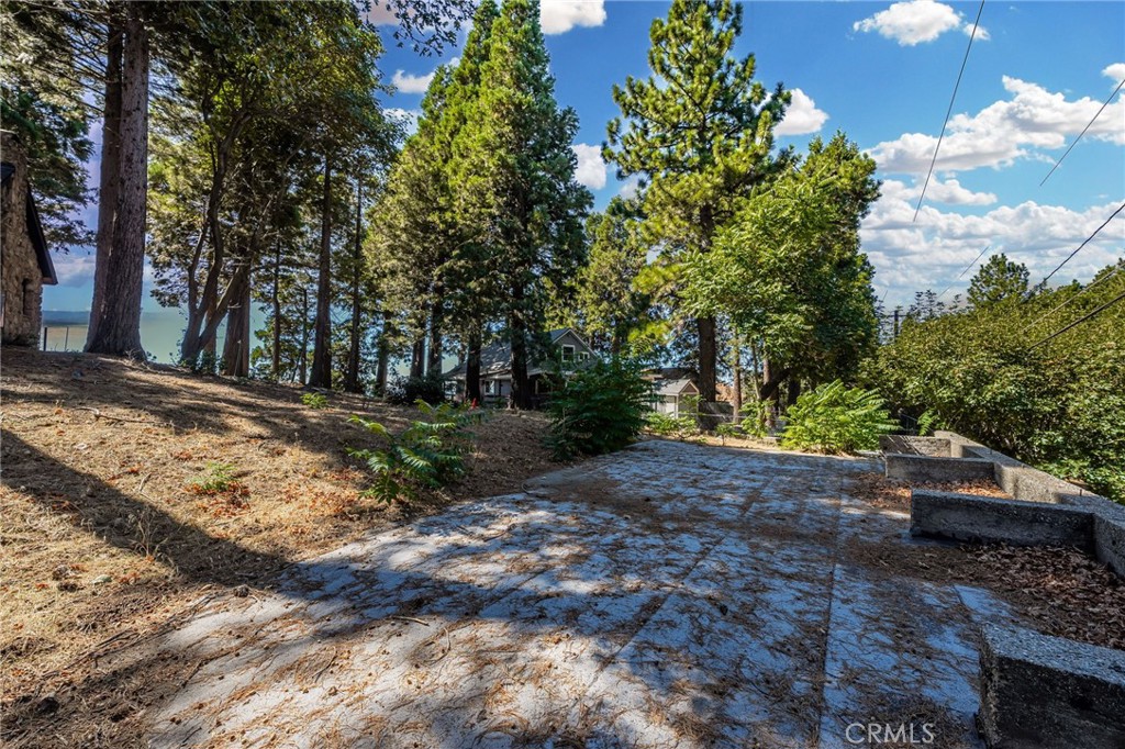 23008 Valley View Drive Crestline, CA 92325 - Photo 8 of 19 a view of a yard with plants and trees