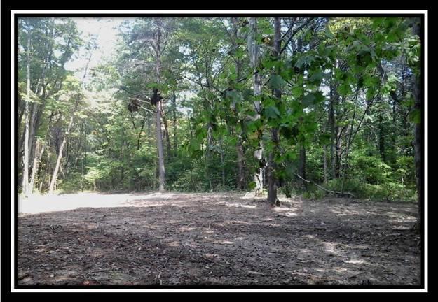 2265 Bethel Ridge Road Jackson, OH 45640 - Photo 14 of 18