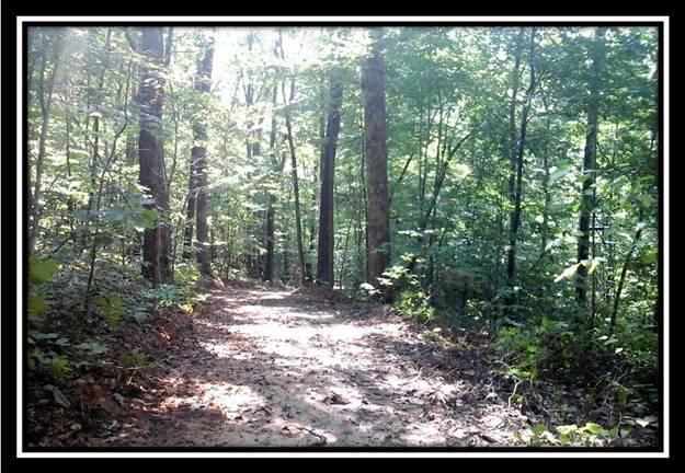 2265 Bethel Ridge Road Jackson, OH 45640 - Photo 7 of 18