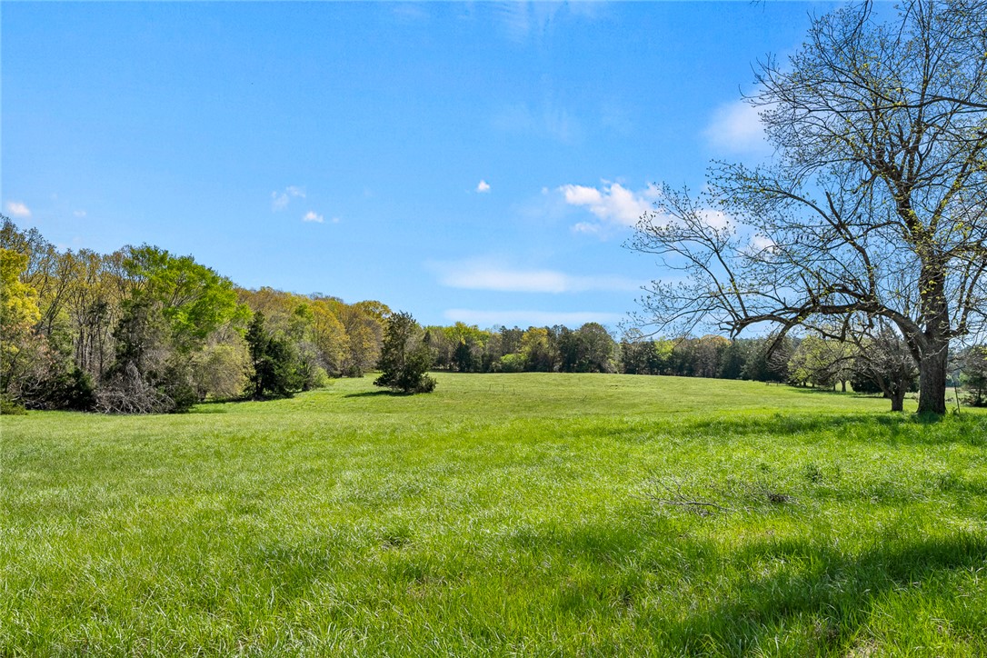 801 Princeton Highway Honea Path, SC 29654 - Photo 39 of 49 Expansive green fields under a bright blue sky, bordered by natural woodlands.