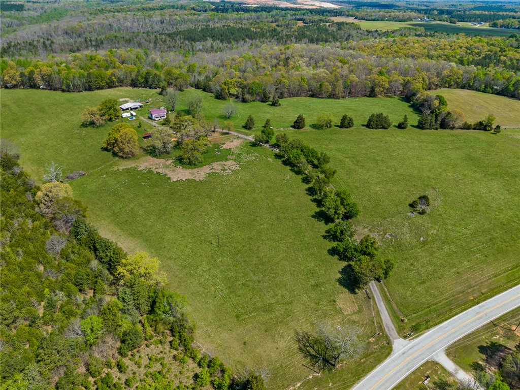 801 Princeton Highway Honea Path, SC 29654 - Photo 40 of 49 This expansive property offers a blend of open fields and natural woodlands.