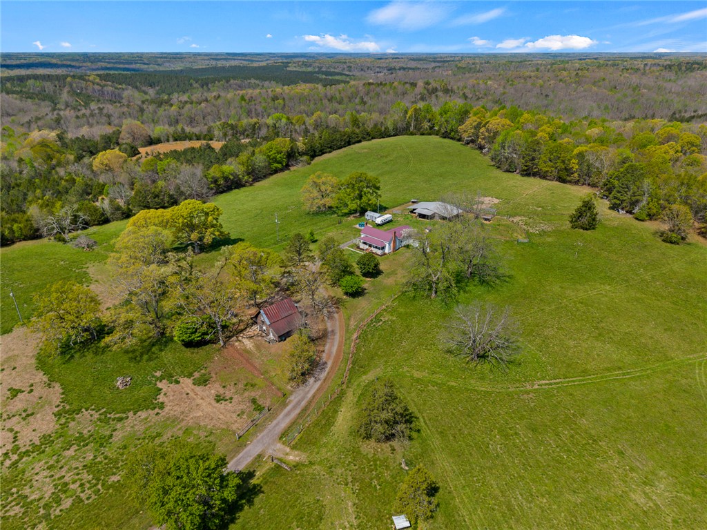 801 Princeton Highway Honea Path, SC 29654 - Photo 41 of 49 Expansive green acreage with multiple structures offers a serene natural retreat.
