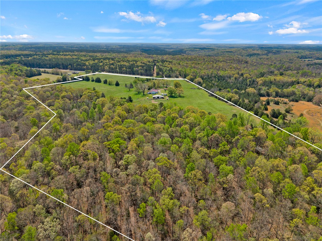801 Princeton Highway Honea Path, SC 29654 - Photo 47 of 49 Expansive green acreage borders lush woodland, offering endless possibilities.
