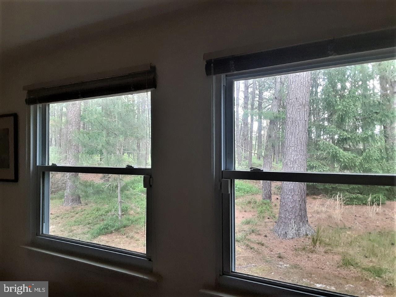 115 Sunset Road Manchester Township, NJ 08759 - Photo 16 of 34 View from the windows