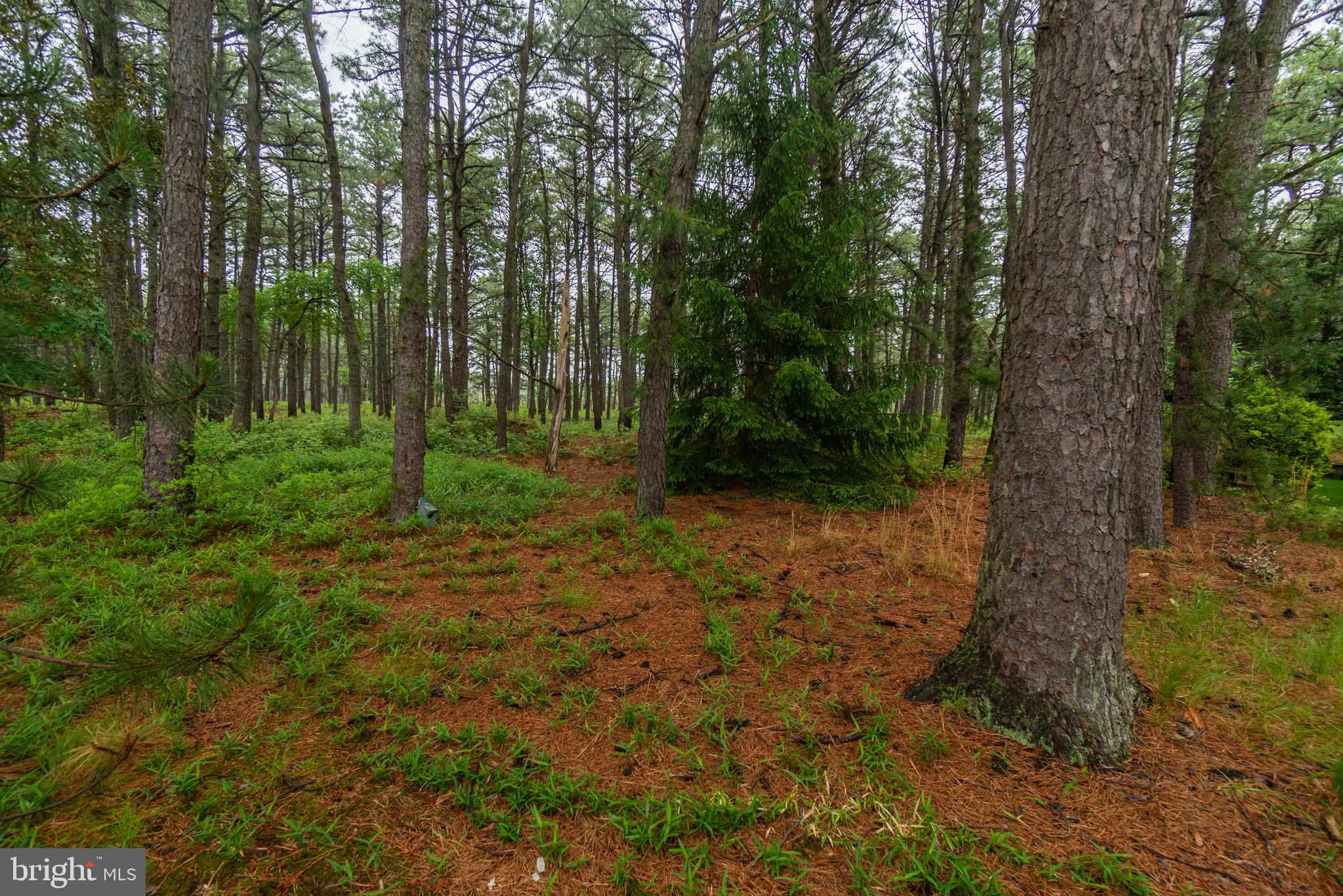 115 Sunset Road Manchester Township, NJ 08759 - Photo 31 of 34
