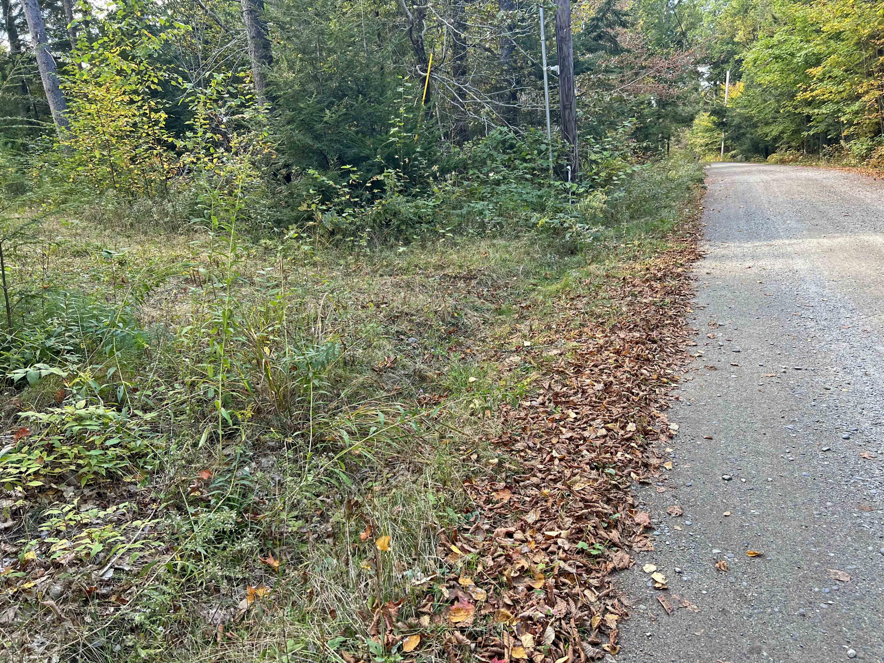 0 Beech Ridge Lane Ellsworth, ME 04605 - Photo 6 of 17 1d