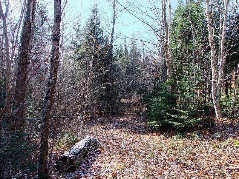 Lot 5.2 Slow Road Houlton, ME 04730 - Photo 20 of 35 Land.