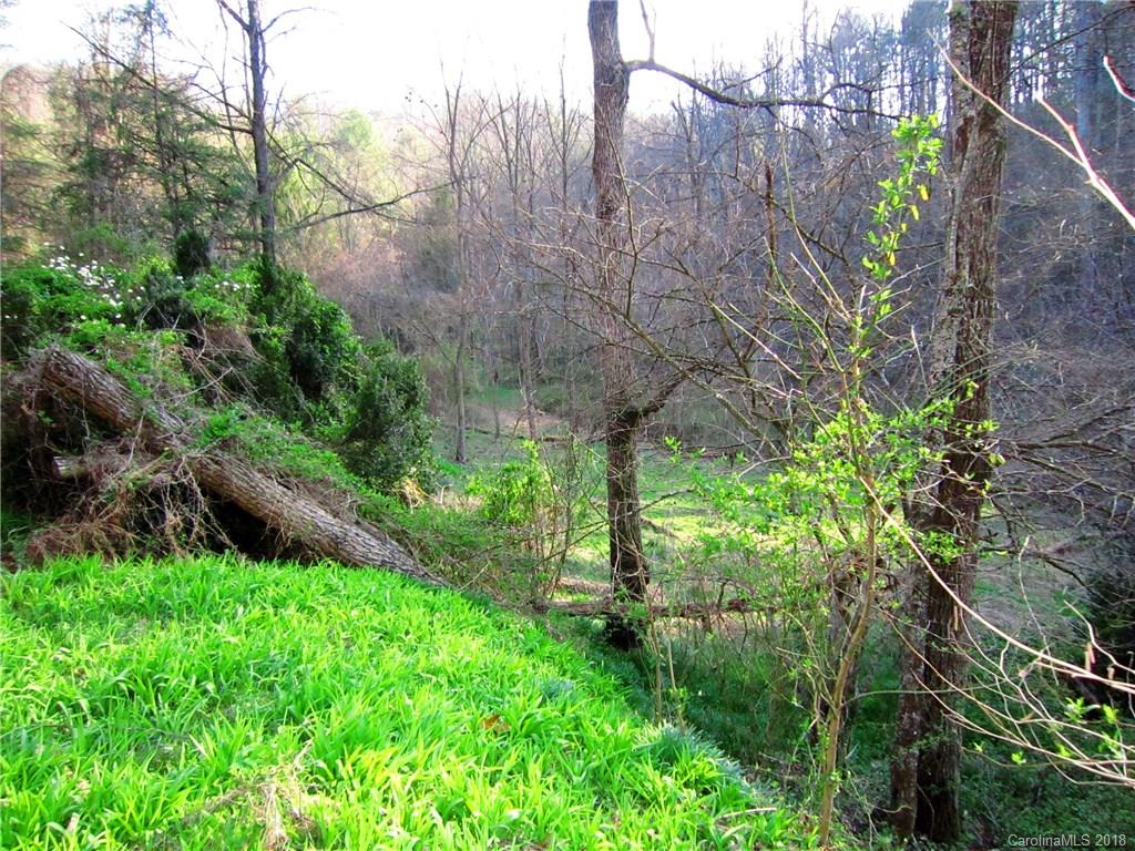 5 Fox Fire Ridge Road Leicester, NC 28748 - Photo 1 of 4 a backyard of a house with lots of green space