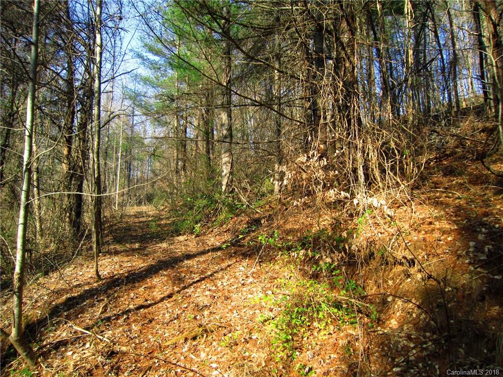 5 Fox Fire Ridge Road Leicester, NC 28748 - Photo 3 of 4 a view of a yard