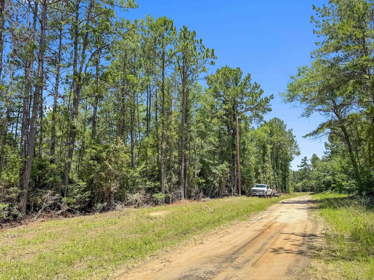 Tbd Hickman Road Burkeville, TX 75932 - Photo 24 of 45