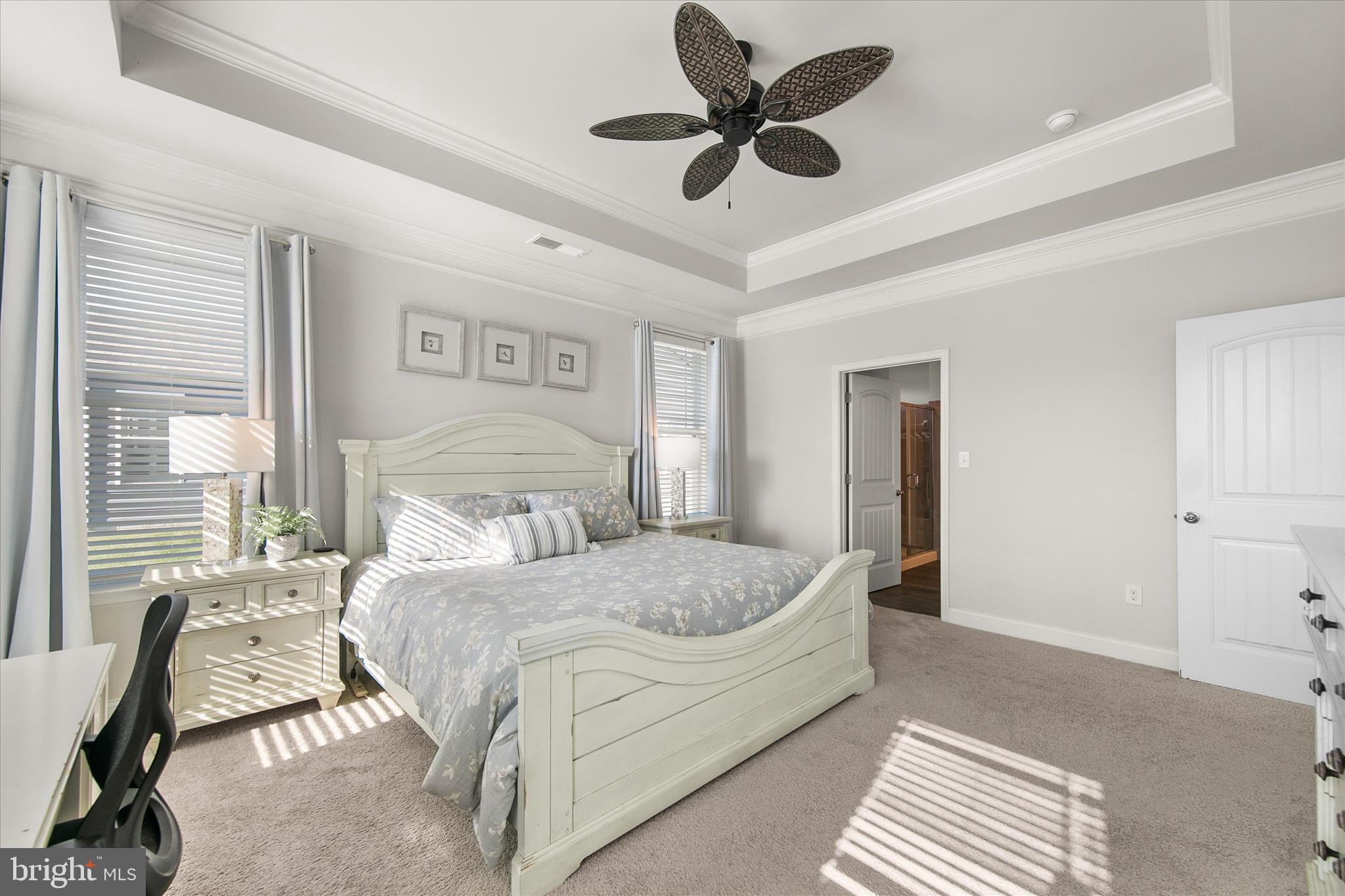 15384 Crape Myrtle Road Milton, DE 19968 - Photo 20 of 81 Trayed Ceiling