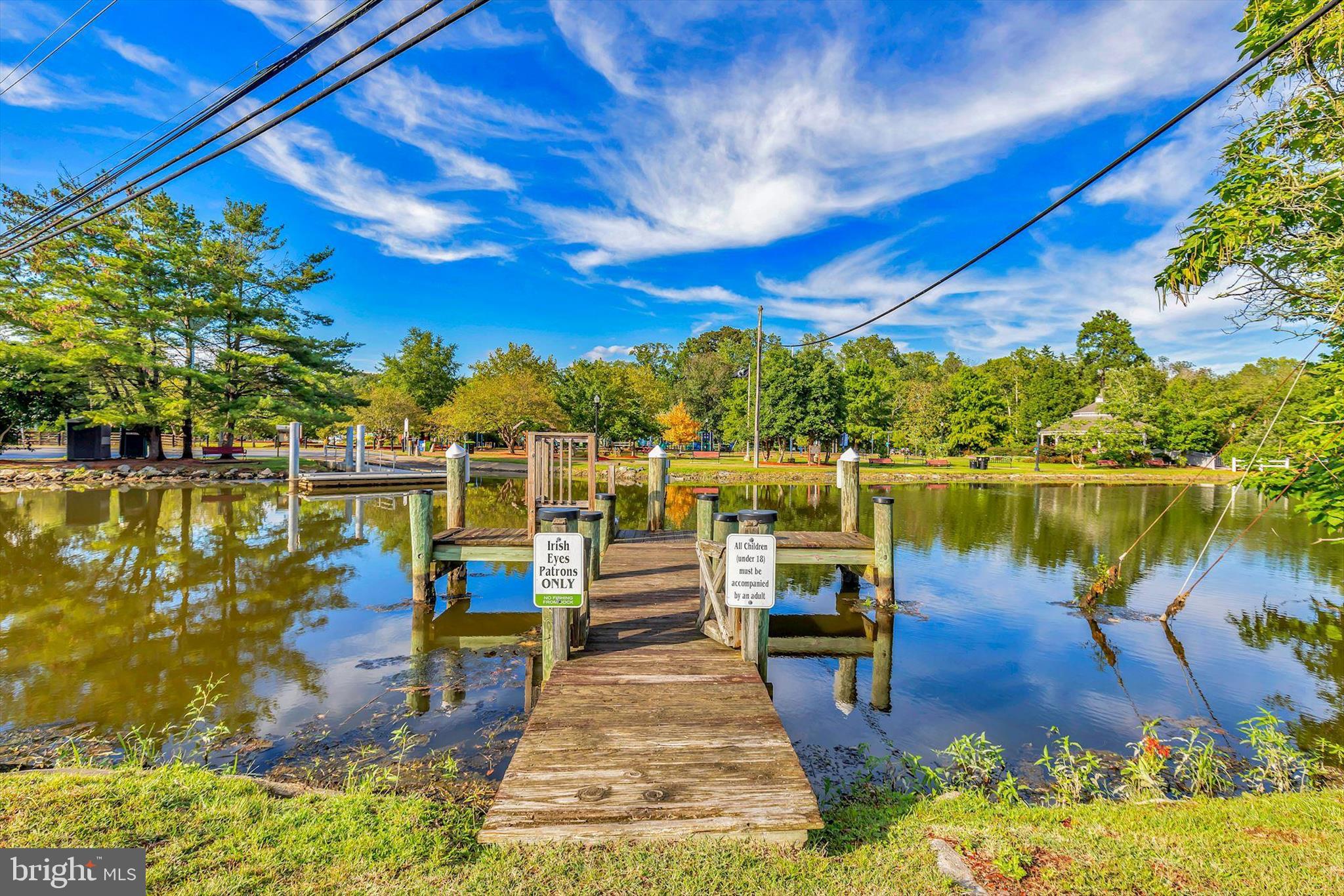 15384 Crape Myrtle Road Milton, DE 19968 - Photo 59 of 81 Downtown Milton