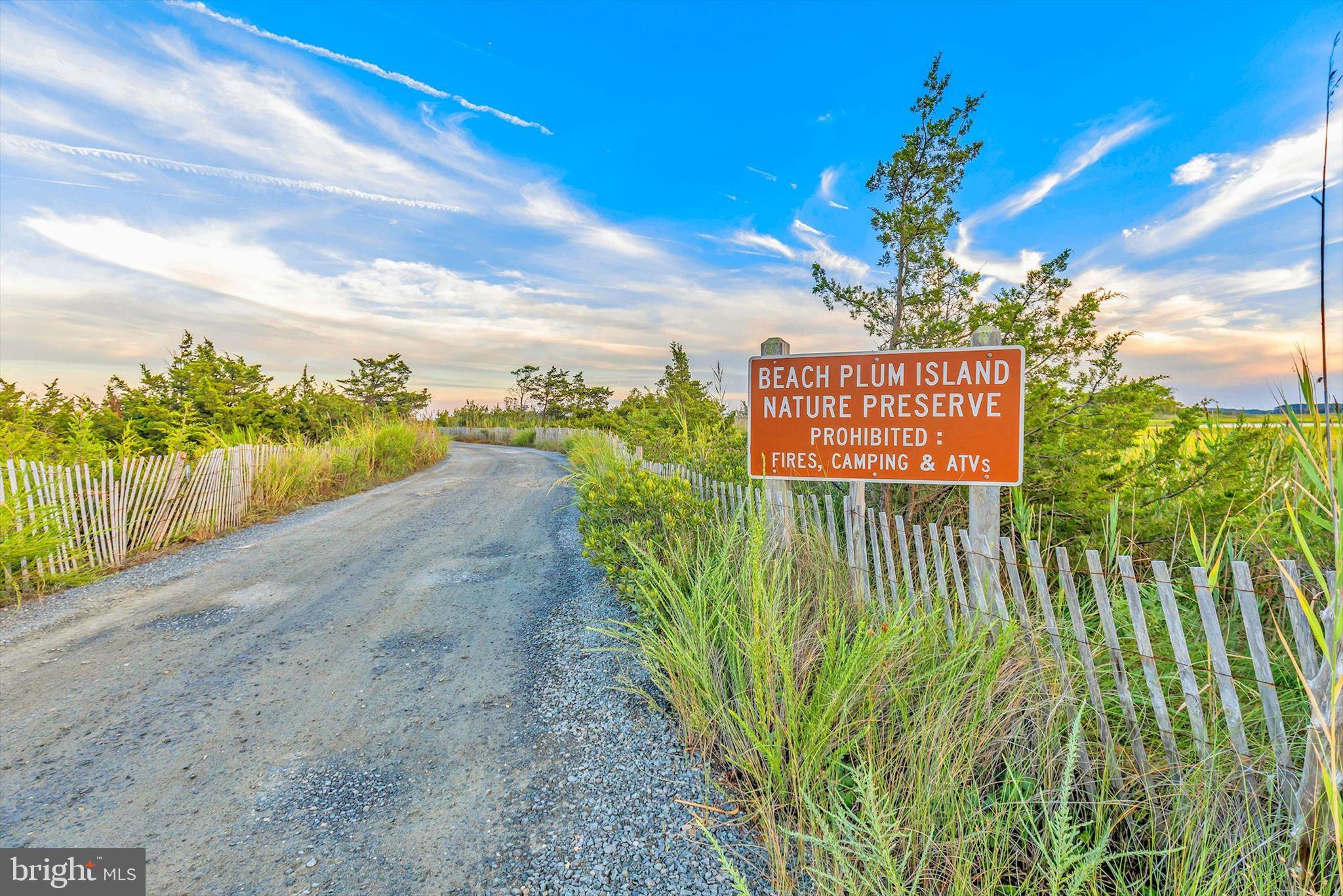 15384 Crape Myrtle Road Milton, DE 19968 - Photo 76 of 81 Downtown Milton