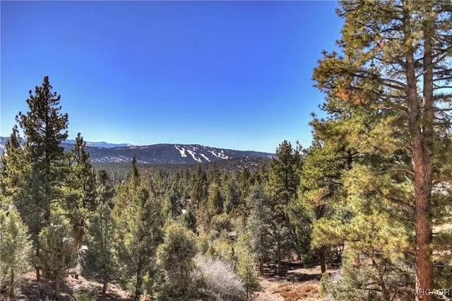 a view of a large building with a tree in the background