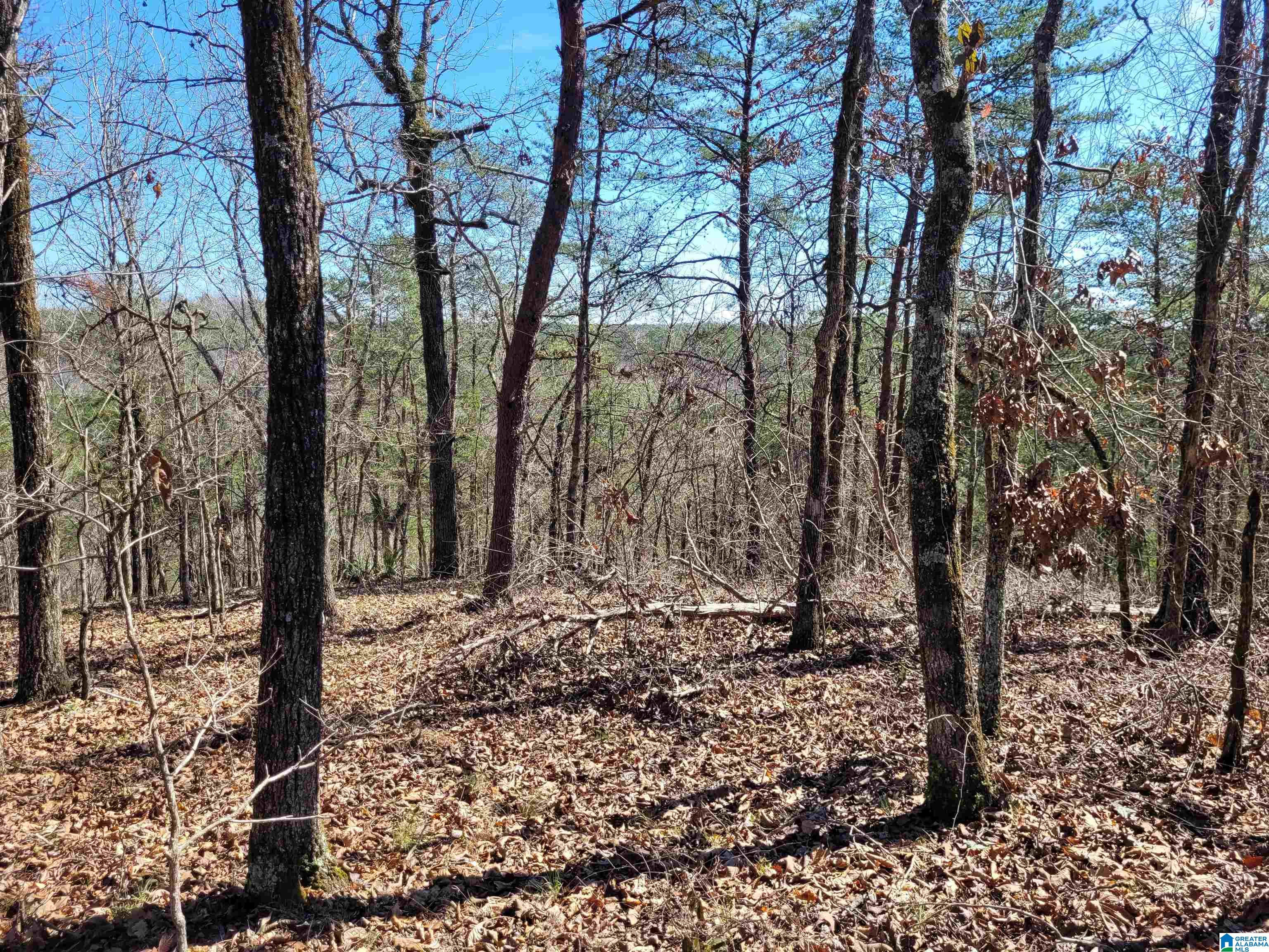565 Hiawatha Road Calera, AL 35040 - Photo 25 of 27