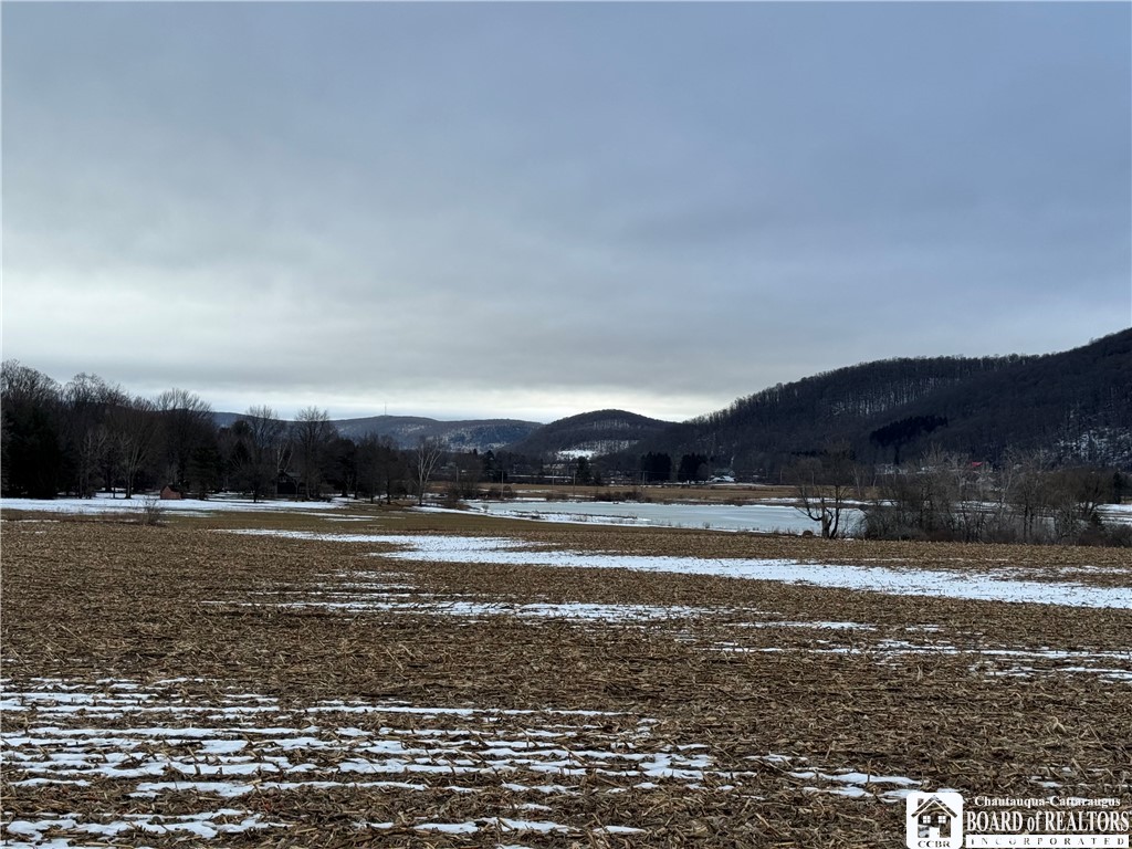 Lot B Sugartown Road Great Valley, NY 14741 - Photo 7 of 11 view across the road