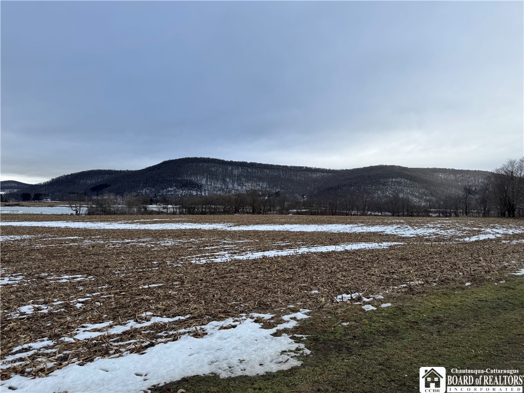 Lot B Sugartown Road Great Valley, NY 14741 - Photo 8 of 11 View across the road