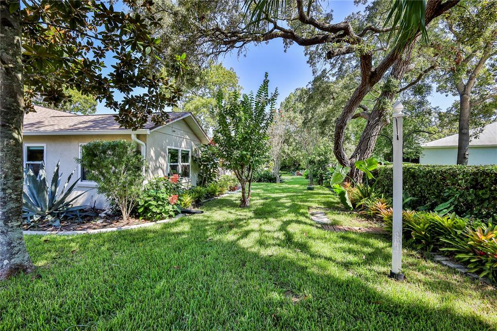 6428 Plantation Road Spring Hill, FL 34606 - Photo 50 of 50 a view of a house with a backyard and a tree