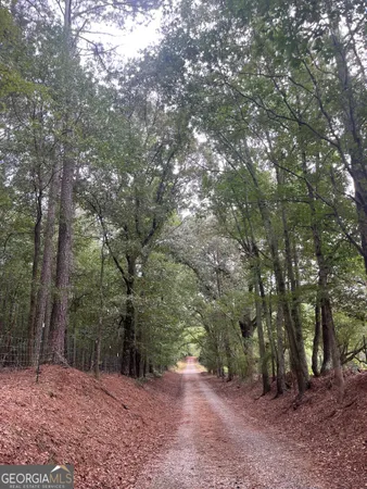 $3,162,500 | 0 Bartram Trail, Arnoldsville, GA 30619