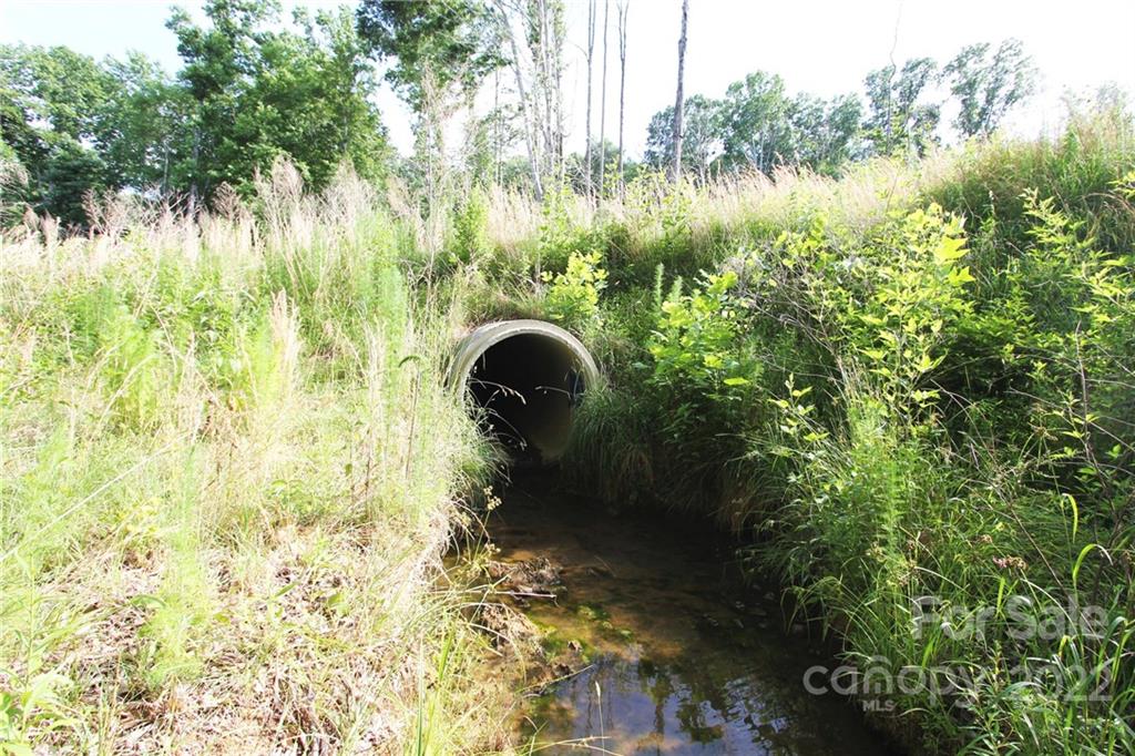 7700 Edgefield Road Concord, NC 28025 - Photo 11 of 48 a view of a garden