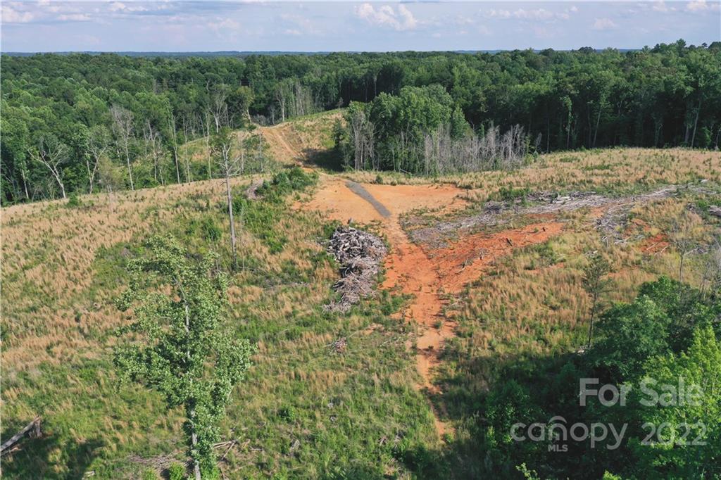 7700 Edgefield Road Concord, NC 28025 - Photo 13 of 48 a view of a yard with plants and large trees