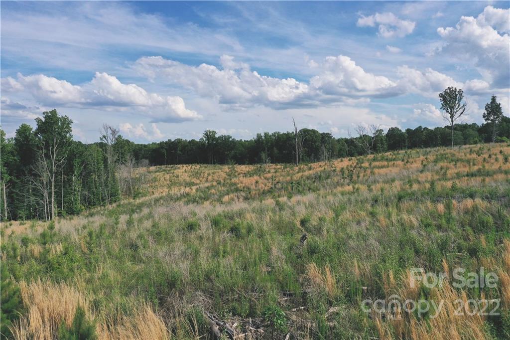 7700 Edgefield Road Concord, NC 28025 - Photo 14 of 48 a view of mountain with lake view