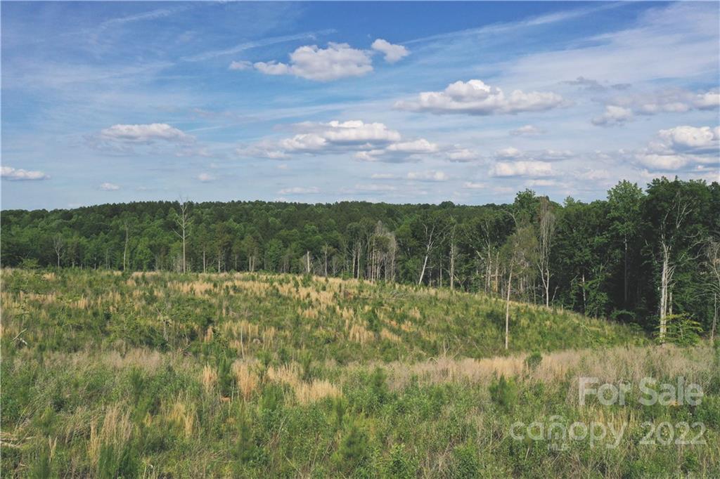 7700 Edgefield Road Concord, NC 28025 - Photo 16 of 48 a view of a field with an trees