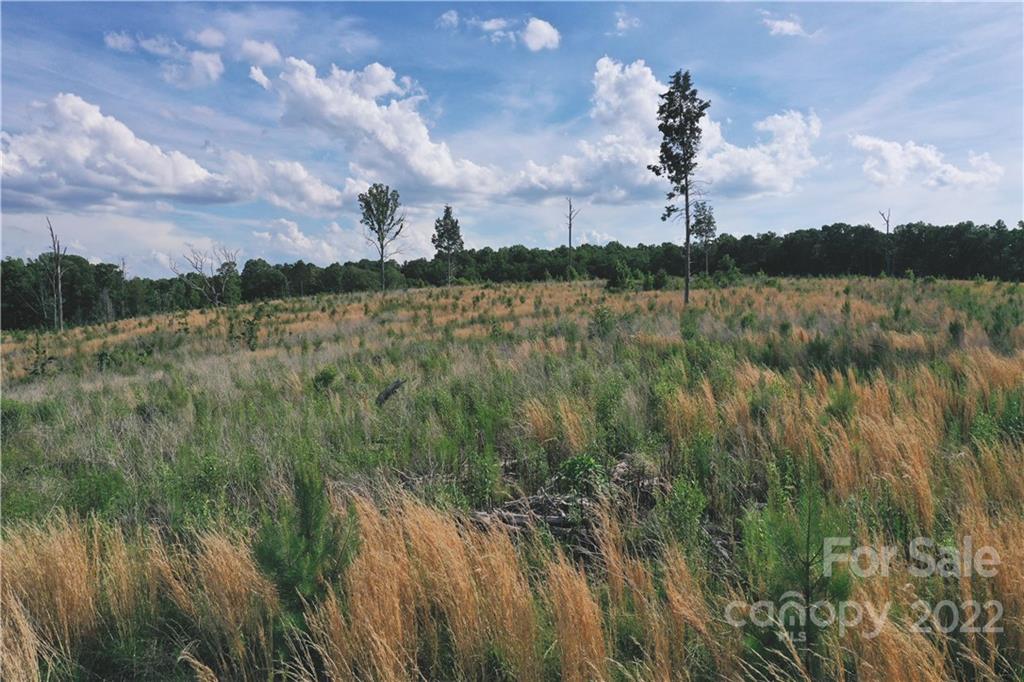 7700 Edgefield Road Concord, NC 28025 - Photo 18 of 48 a view of lake with green space