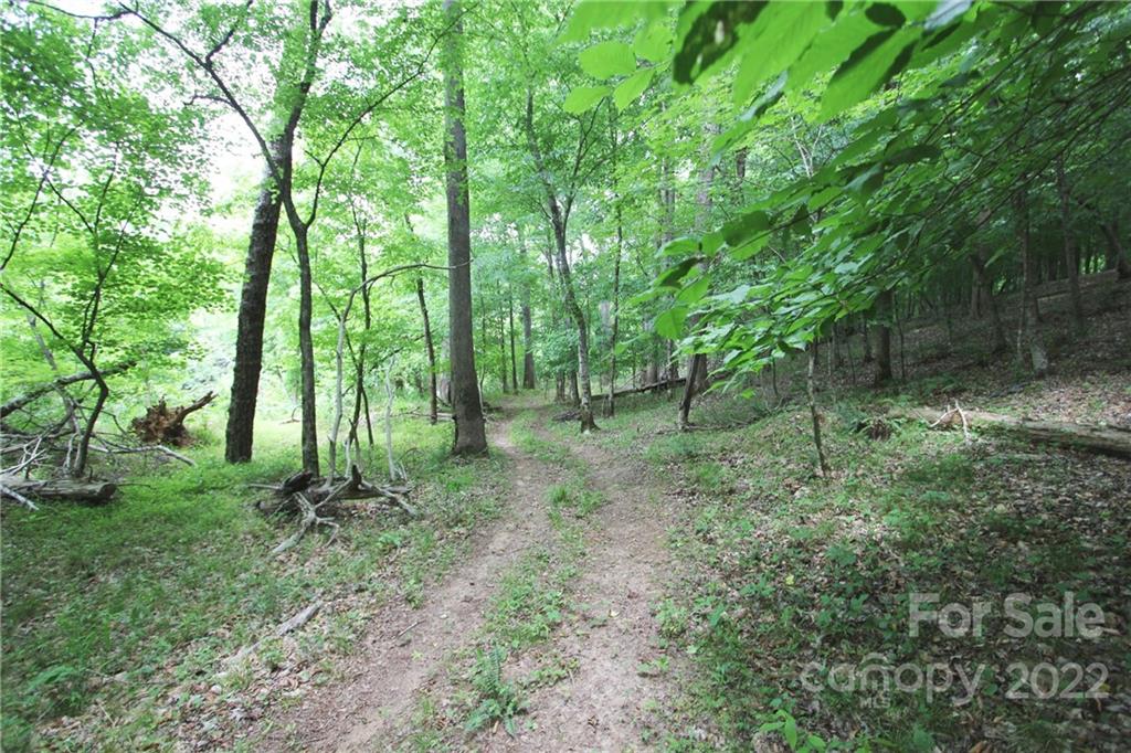 7700 Edgefield Road Concord, NC 28025 - Photo 29 of 48 a view of outdoor space and green space