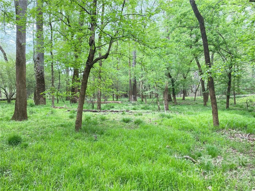7700 Edgefield Road Concord, NC 28025 - Photo 31 of 48 a view of outdoor space with green field and trees