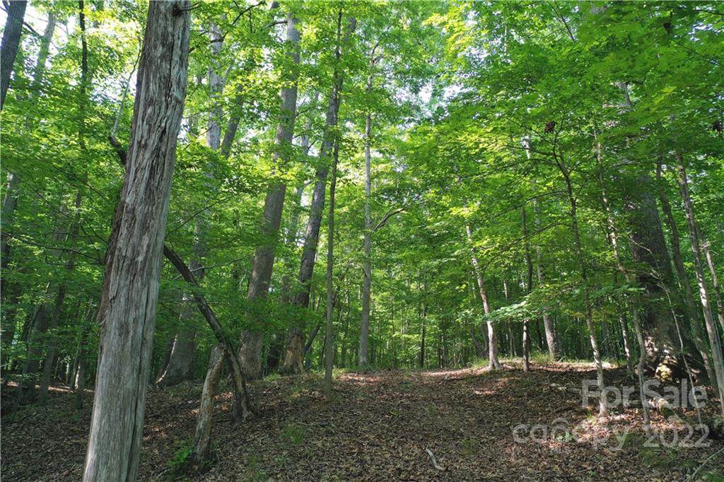 7700 Edgefield Road Concord, NC 28025 - Photo 37 of 48 a backyard of a house with lots of green space