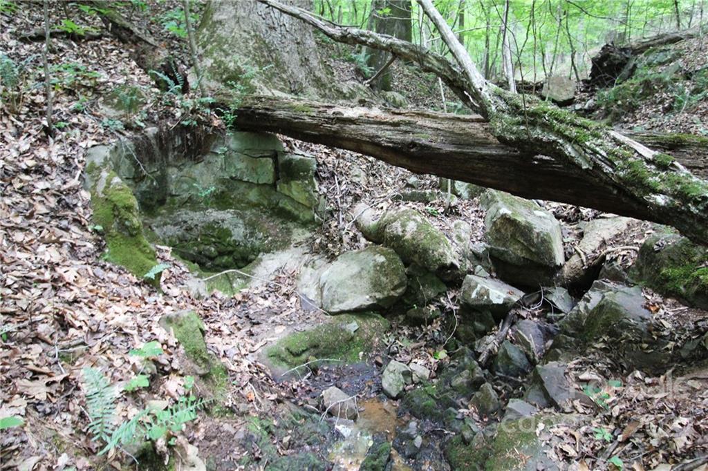 7700 Edgefield Road Concord, NC 28025 - Photo 39 of 48 a view of a garden