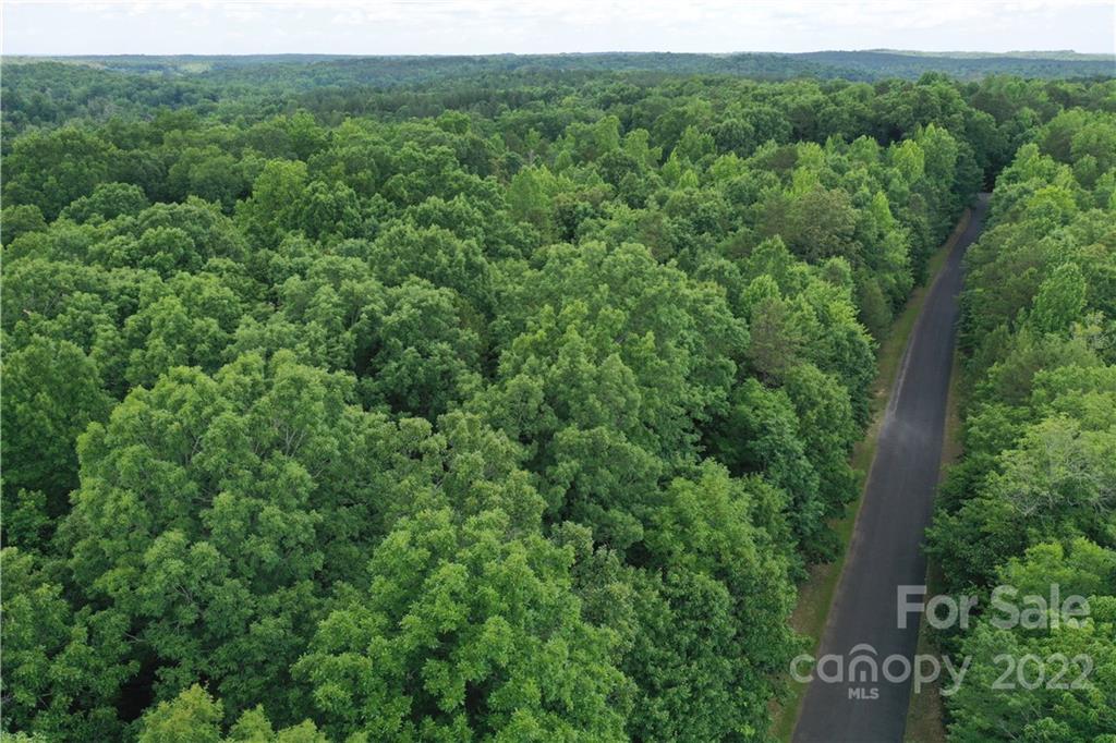 7700 Edgefield Road Concord, NC 28025 - Photo 4 of 48 a view of a lush green forest with trees in a back