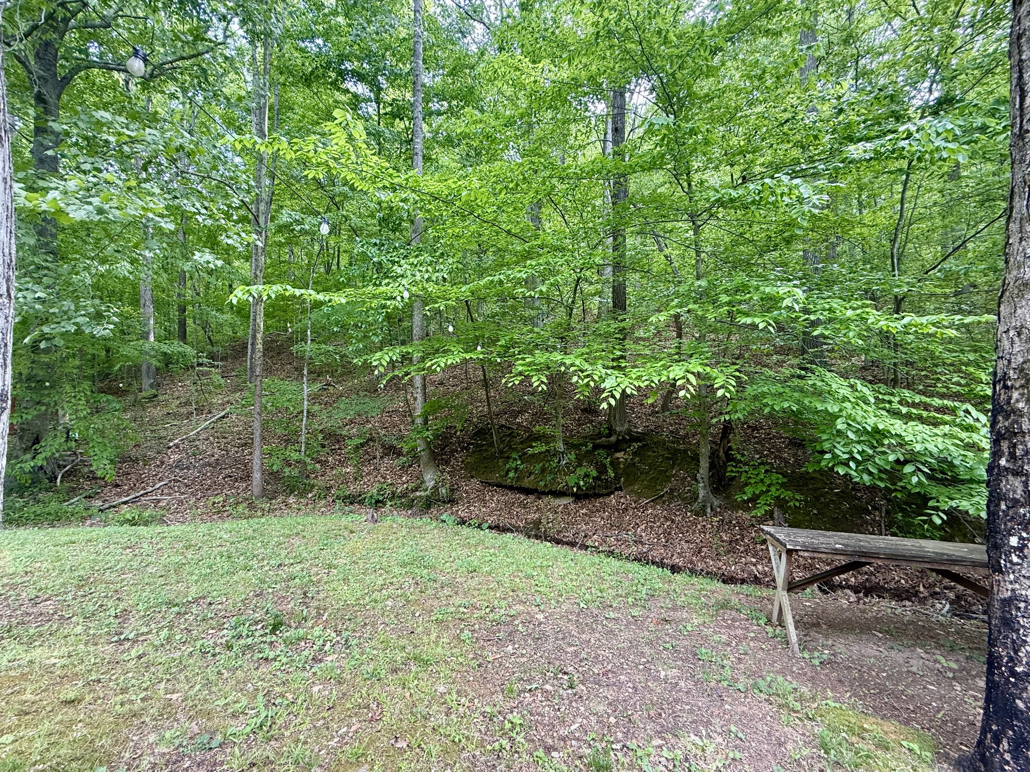 118 Haylee Road Waverly, TN 37185 - Photo 21 of 24