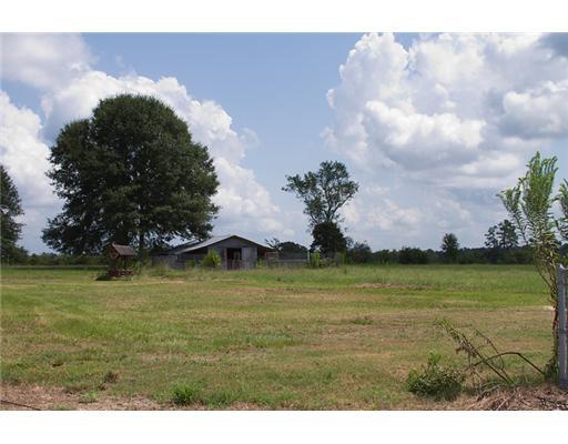 63540 Bennett Road Roseland, LA 70456 - Photo 11 of 15 Gallery Image 11