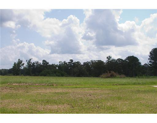 63540 Bennett Road Roseland, LA 70456 - Photo 13 of 15 Gallery Image 13