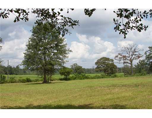 63540 Bennett Road Roseland, LA 70456 - Photo 15 of 15 Gallery Image 15