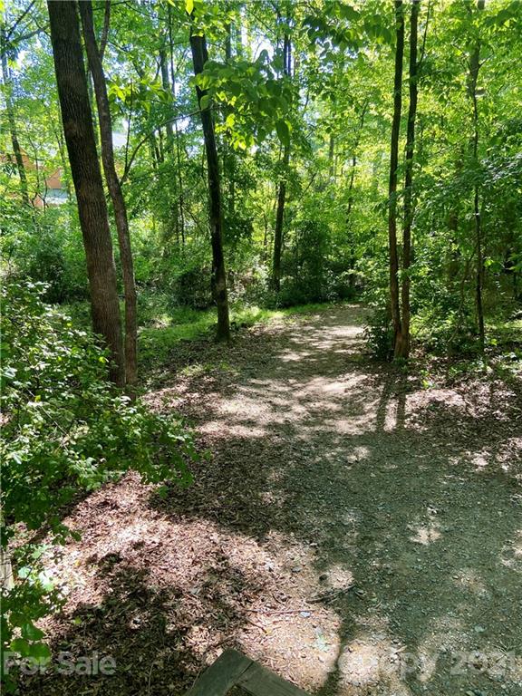 314 Sadie Drive Matthews, NC 28105 - Photo 5 of 13 a view of outdoor space and trees