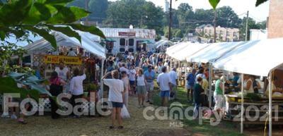 314 Sadie Drive Matthews, NC 28105 - Photo 8 of 13 a view of street
