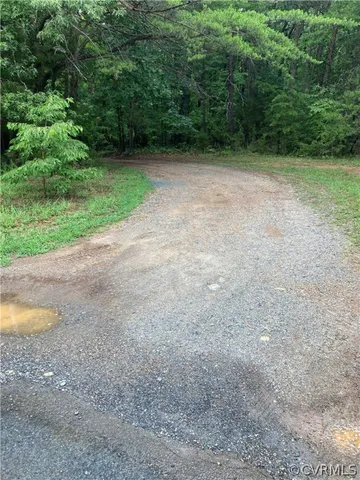 a view of a yard with a tree