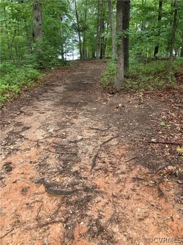 a view of a yard with a tree
