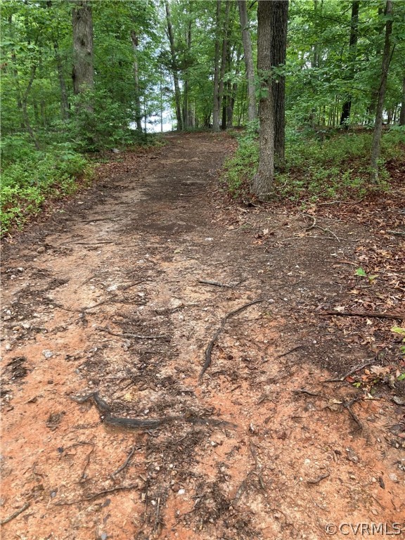 0 Blackwell Road Scottsville, VA 24590 - Photo 2 of 4 a view of a yard with a tree