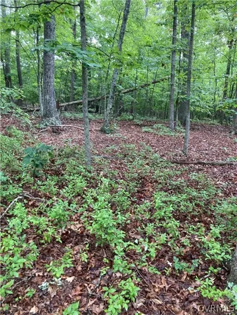 a view of outdoor space and trees