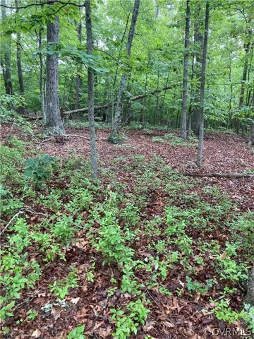 a view of outdoor space and trees